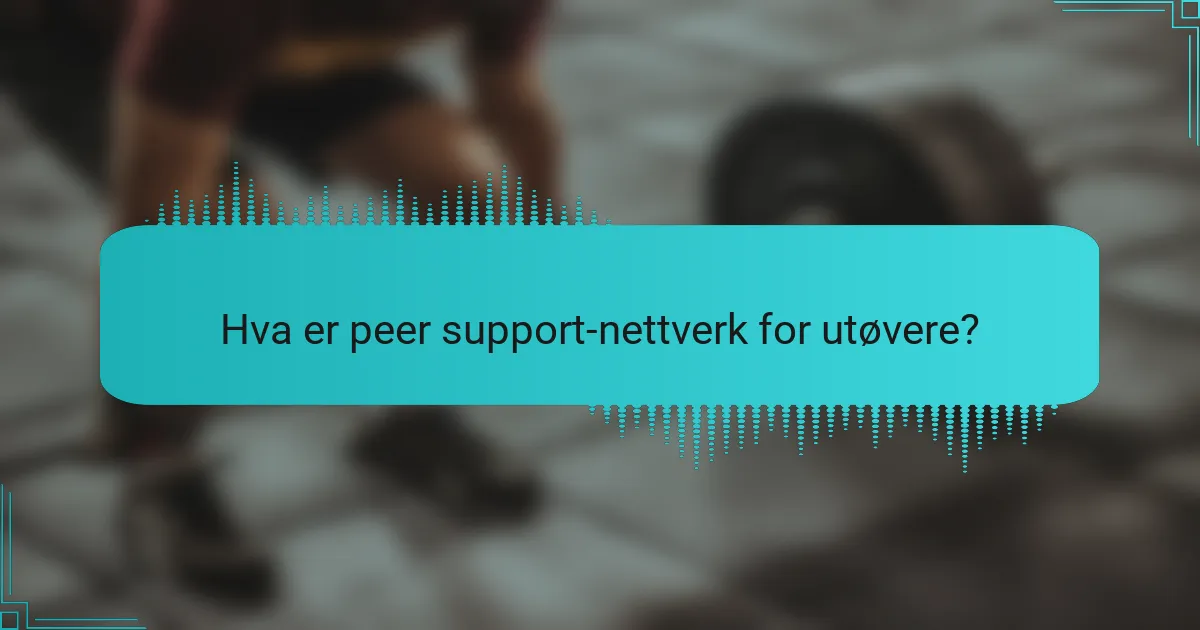 Hva er peer support-nettverk for utøvere?